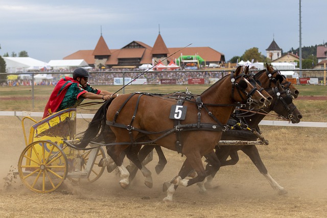 以從中學到 以從中學到